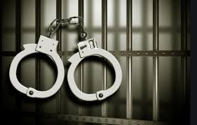 शादी के नाम पर ठगी-लूट का आरोप, बरवाअड्डा पुलिस ने 10 को दबोचा; 3 महिलाएं भी शामिल