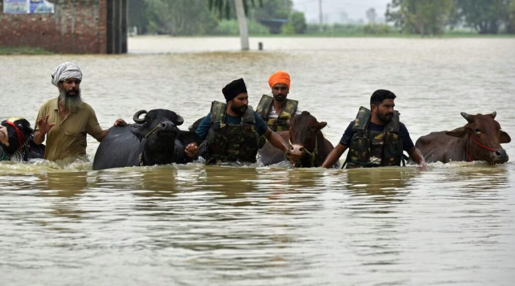 पंजाब में बारिश से तबाही, 23 जिलों के 1400 से ज्यादा गांव बाढ़ की चपेट में