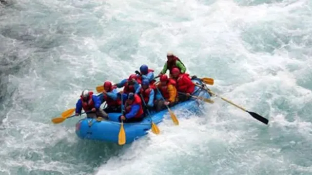 Latest News in hindi