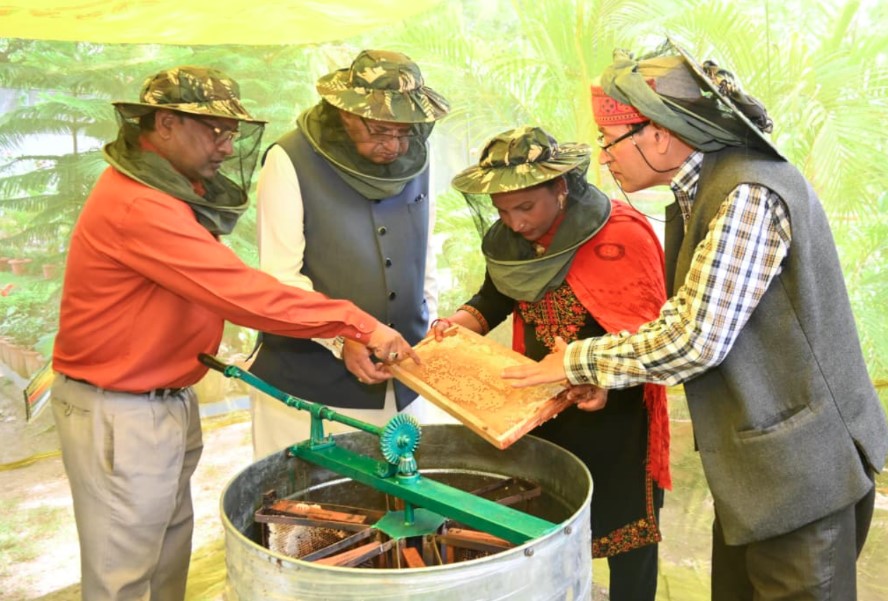 Latest News in hindi